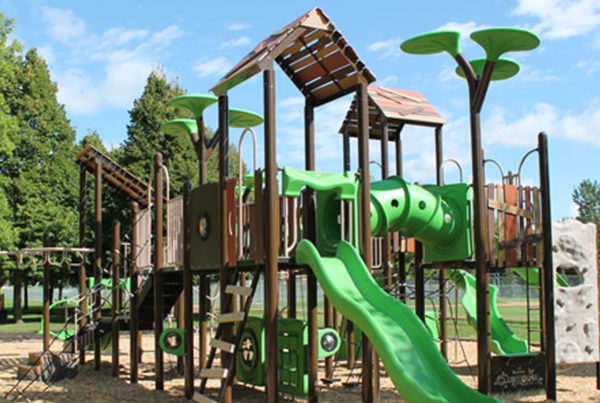 Minnesota Tree House Themed Playground at Manthey Park in Owatonna, MN